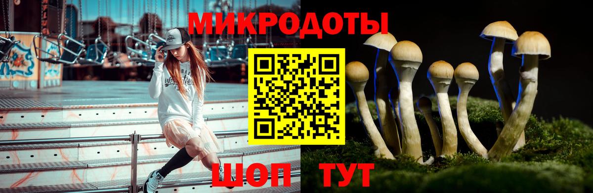 Старый Оскол  Галлюциногенные грибы Cubensis  Вход с VPN 